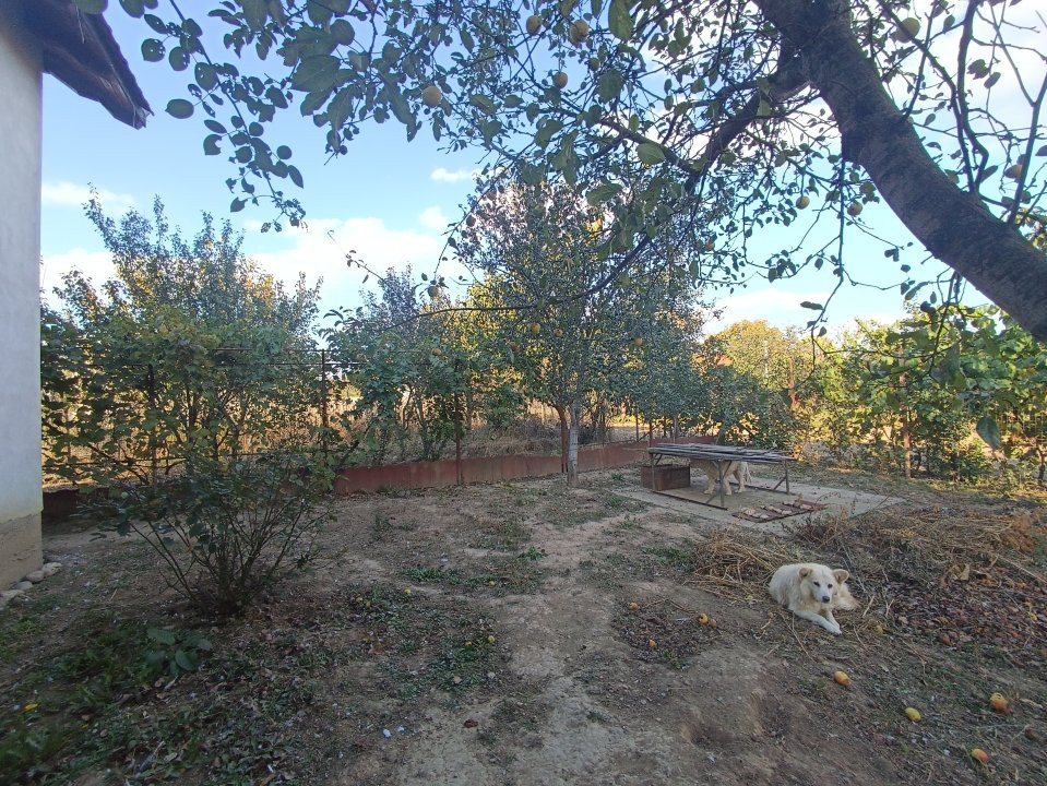 COMISION 0% Casa individuala cu 4 camere de vanzare in Urseni 9, foxfort.ro