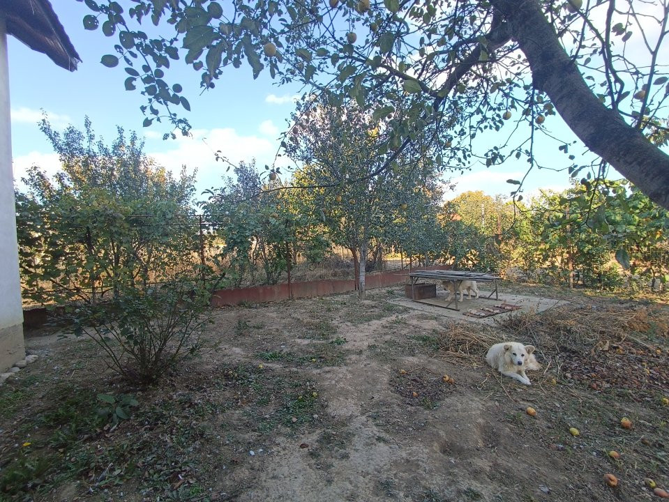 COMISION 0% Casa individuala cu 4 camere de vanzare in Urseni 10, foxfort.ro