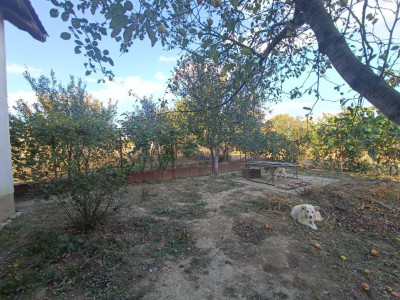 COMISION 0% Casa individuala cu 4 camere de vanzare in Urseni imagine mica 10, foxfort.ro