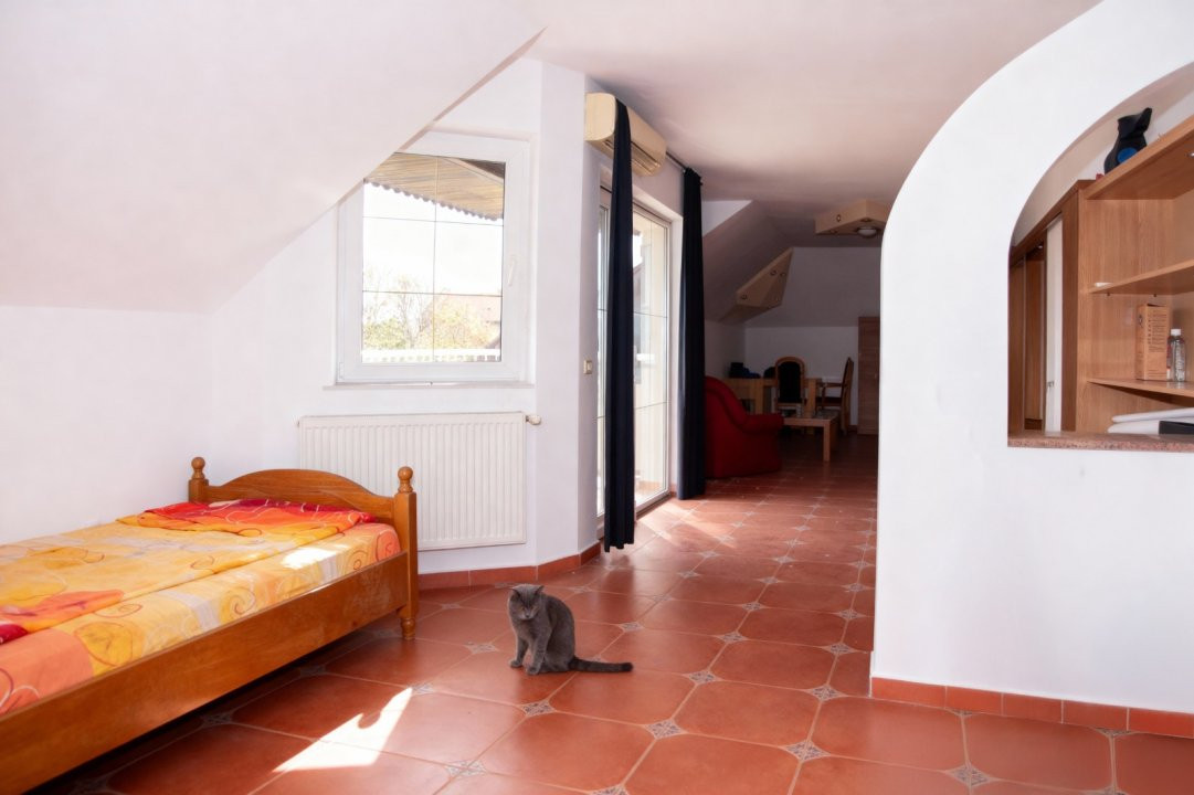 COMISION 0% Vila de Lux cu 14 Camere si Sala de Mese in Arad – Acces Imediat 2, foxfort.ro