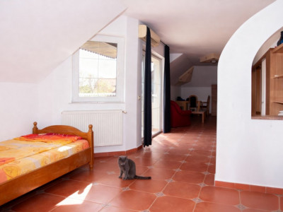 COMISION 0% Vila de Lux cu 14 Camere si Sala de Mese in Arad – Acces Imediat imagine mica 2, foxfort.ro