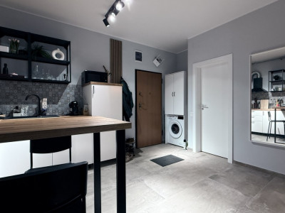 Apartament de inchiriat cu 2 camere, open space, zona Torontalului imagine mica 4, foxfort.ro