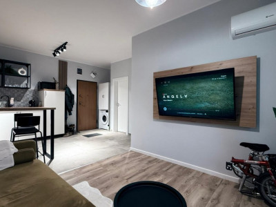 Apartament de inchiriat cu 2 camere, open space, zona Torontalului