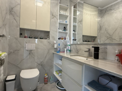 Casa individuala cu 5 camere de vanzare in Sacalaz, Exterior Sud imagine mica 30, foxfort.ro