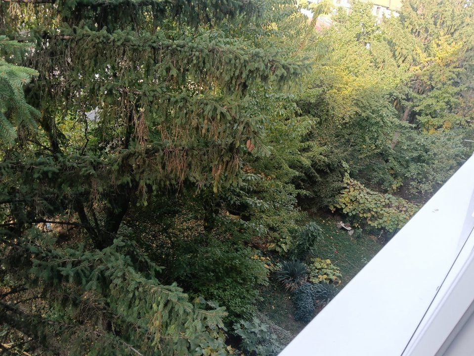 Apartament de vanzare cu 2 camere la etajul 3, zona Sagului 11, foxfort.ro