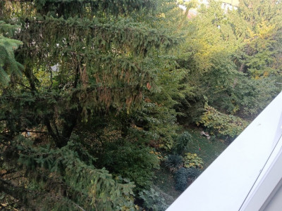 Apartament de vanzare cu 2 camere la etajul 3, zona Sagului imagine mica 11, foxfort.ro