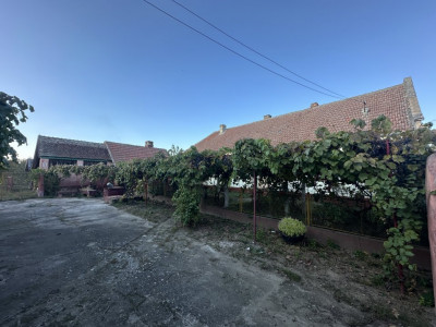 Casa individuala cu 3 camere si teren de 1577 mp, Bucovat central imagine mica 6, foxfort.ro