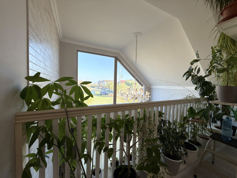 Casa individuala cu 5 camere de vanzare in localitatea Sacalaz 20, foxfort.ro