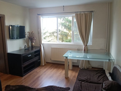 Apartament cu 2 camere de inchiriat, zona Sagului