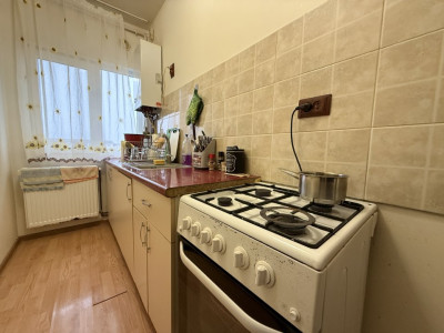 Apartament cu 3 camere de vanzare in Timisoara, zona Soarelui imagine mica 12, foxfort.ro