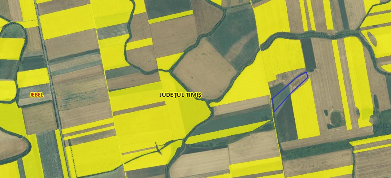 Teren agricol extravilan de vanzare, 2,69 hectare - Jebel Timis 4, foxfort.ro