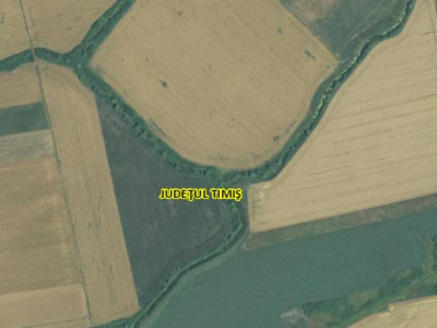 Teren agricol extravilan de vanzare, 2,69 hectare - Jebel Timis imagine mica 2, foxfort.ro