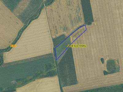 Teren agricol extravilan de vanzare, 2,69 hectare - Jebel Timis imagine mica 3, foxfort.ro