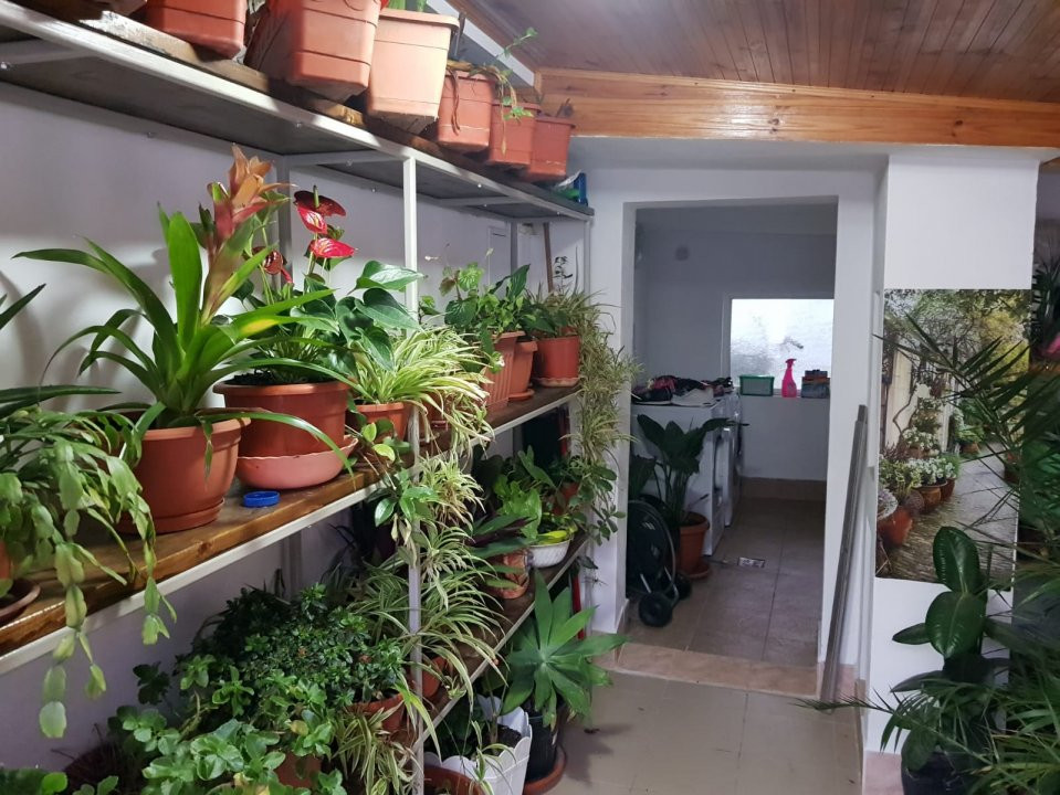 Casa individuala cu 4 camere de vanzare, zona Girocului 18, foxfort.ro