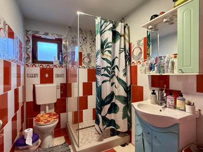 Casa individuala 4 camere, de vanzare - Sanandrei imagine mica 13, foxfort.ro