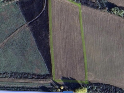 Teren intravilan de 5800 mp, la Asfalt zona Bucovat