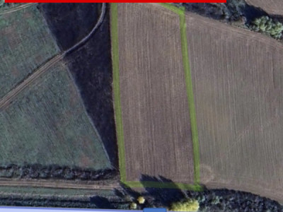 Teren intravilan de 5800 mp, la Asfalt zona Bucovat