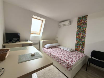 Apartament cu o camera de vanzare in Timisoara, zona Lipovei imagine mica 10, foxfort.ro