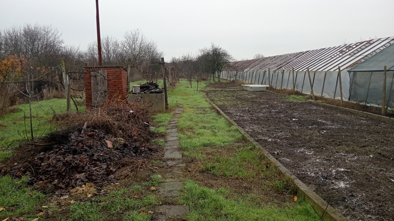 Casa individuala cu 5 camere de inchiriat zona Aradul Nou 6, foxfort.ro