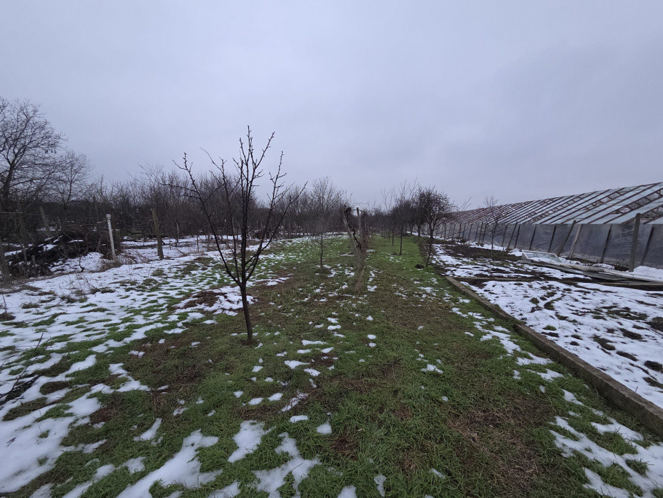 Casa individuala cu 5 camere de inchiriat zona Aradul Nou 9, foxfort.ro