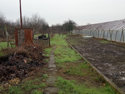 Casa individuala cu 5 camere de inchiriat zona Aradul Nou imagine mica 6, foxfort.ro