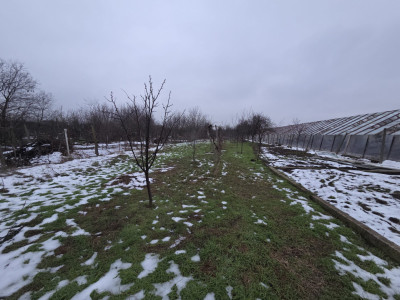 Casa individuala cu 5 camere de inchiriat zona Aradul Nou imagine mica 9, foxfort.ro