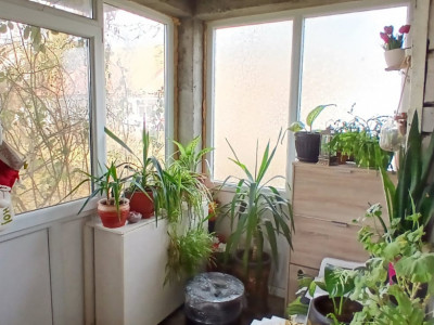 Casa individuala cu 5 camere P+M in Sanmihaiu Roman  imagine mica 21, foxfort.ro