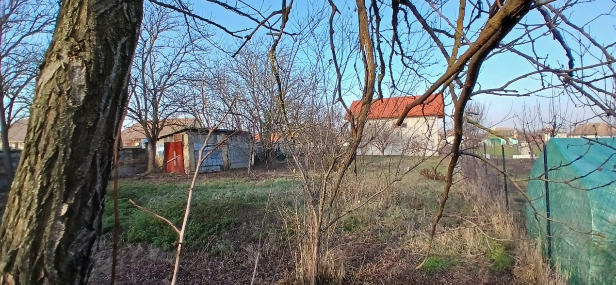 Casa individuala cu 3 camere si teren de 900 mp - Satchinez 18, foxfort.ro