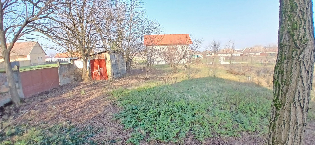 Casa individuala cu 3 camere si teren de 900 mp - Satchinez 19, foxfort.ro