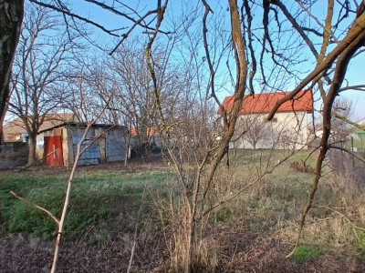 Casa individuala cu 3 camere si teren de 900 mp - Satchinez imagine mica 18, foxfort.ro