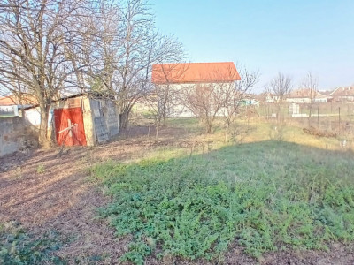 Casa individuala cu 3 camere si teren de 900 mp - Satchinez imagine mica 19, foxfort.ro