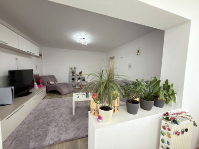 Apartament cu 3 camere de vanzare in Timisoara, zona Aradului imagine mica 10, foxfort.ro