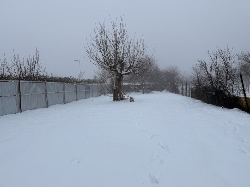 Vilă individuală de închiriat în Timișoara – zona Freidorf 40, foxfort.ro