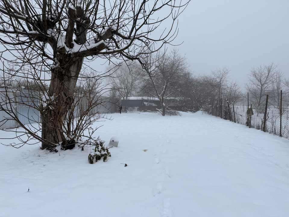 Vilă individuală de închiriat în Timișoara – zona Freidorf 42, foxfort.ro