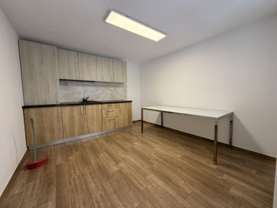 Vilă individuală de închiriat în Timișoara – zona Freidorf imagine mica 36, foxfort.ro