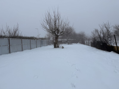 Vilă individuală de închiriat în Timișoara – zona Freidorf imagine mica 40, foxfort.ro