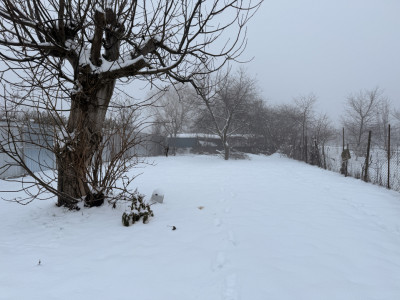 Vilă individuală de închiriat în Timișoara – zona Freidorf imagine mica 42, foxfort.ro