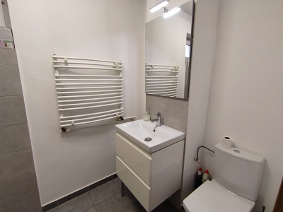 Apartament cu 3 camere de inchiriat in zona Take Ionescu imagine mica 6, foxfort.ro