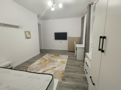 Apartament cu o camera de inchiriat in Giroc imagine mica 5, foxfort.ro