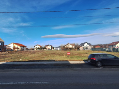 Teren intraviln de 968 mp premium in Dumbravita, langa padure imagine mica 2, foxfort.ro