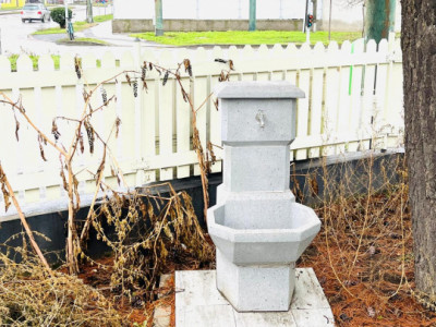 Spatiu comercial si terasa cu casa de locuit - zona Dambovita imagine mica 6, foxfort.ro