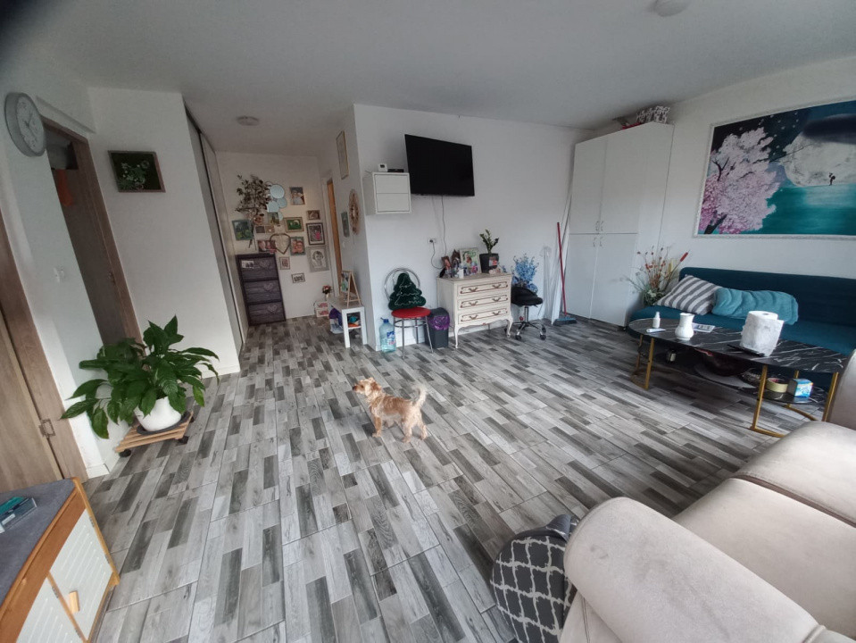 Casa individuala cu 5 camere si teren de 1307 mp in Ghiroda 2, foxfort.ro