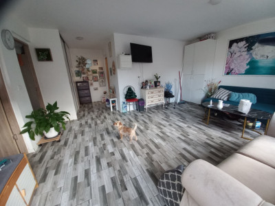 Casa individuala cu 5 camere si teren de 1307 mp in Ghiroda imagine mica 2, foxfort.ro