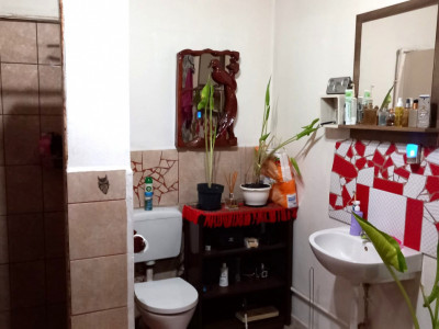 Casa individuala + hala de vanzare in Grabat  imagine mica 13, foxfort.ro