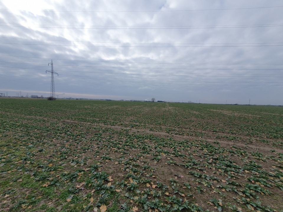 Teren extravilan pretabil constructii industriale - zona Calea Sagului  4, foxfort.ro