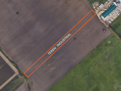 Teren extravilan pretabil constructii industriale - zona Calea Sagului imagine mica 2, foxfort.ro