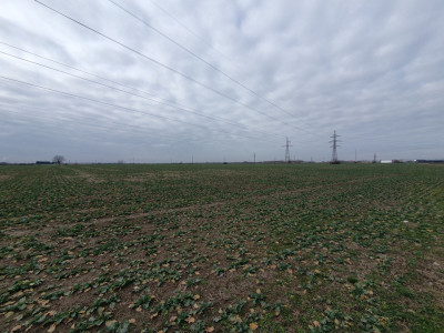 Teren extravilan pretabil constructii industriale - zona Calea Sagului imagine mica 3, foxfort.ro