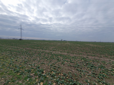 Teren extravilan pretabil constructii industriale - zona Calea Sagului imagine mica 4, foxfort.ro