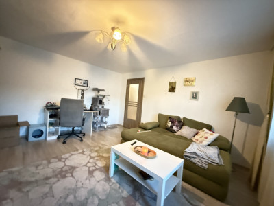 Apartament cu 3 camere de vanzare in Timisoara, zona Bucovina imagine mica 2, foxfort.ro