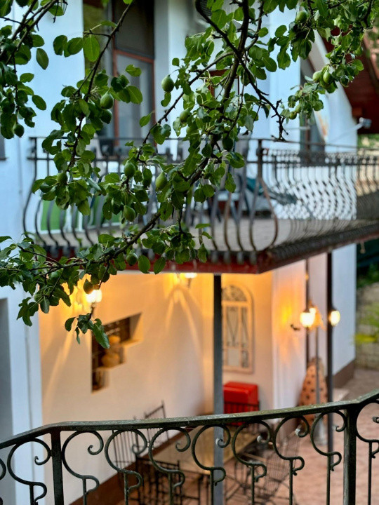 Casa individuala cu 5 camere si teren de 1 hectar - Ghioroc - Arad 8, foxfort.ro